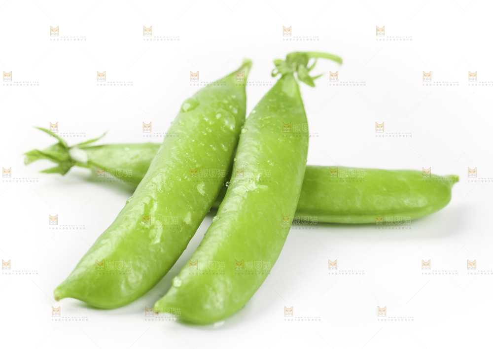 白底上的豌豆荚