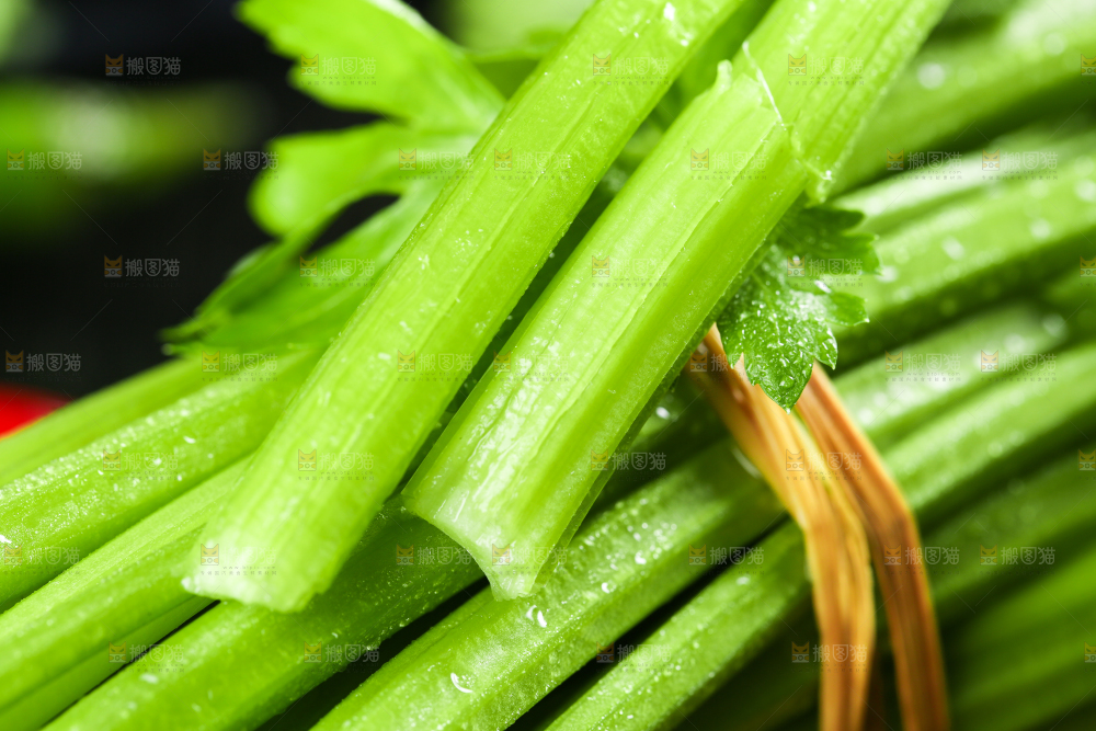 木底上堆放着芹菜