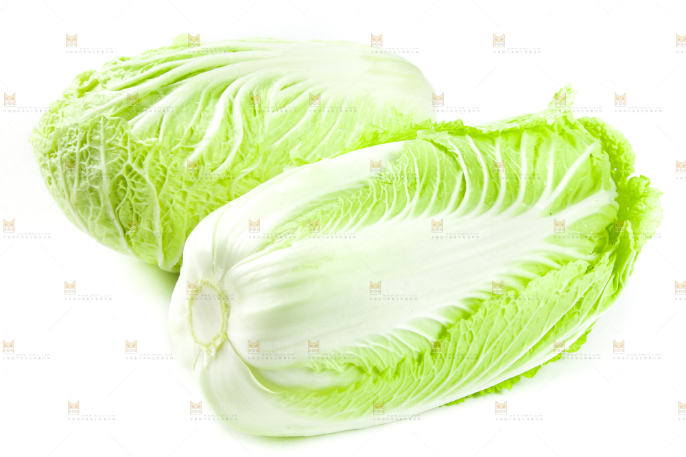 白底上放着大白菜