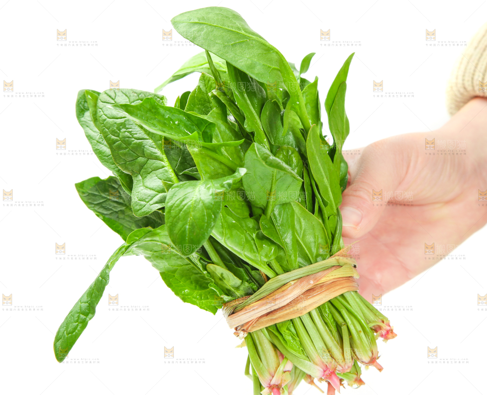 手里拿着一把菠菜