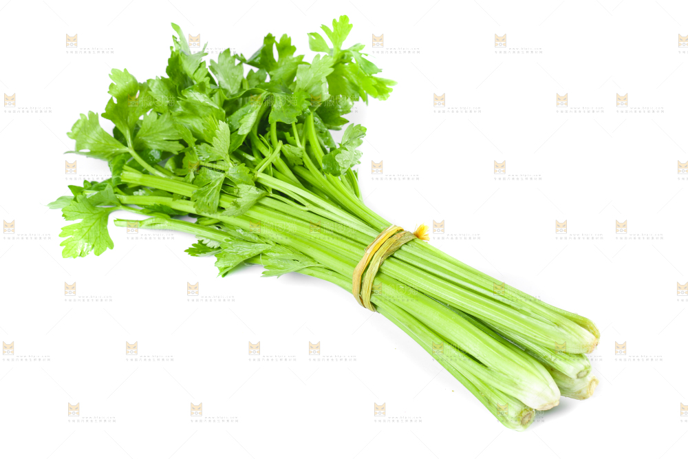 白底上放着新鲜芹菜