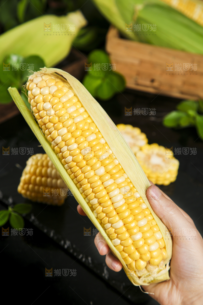 手里拿着剥皮的水果玉米