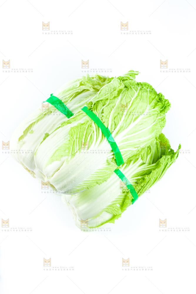 白底上放着大白菜