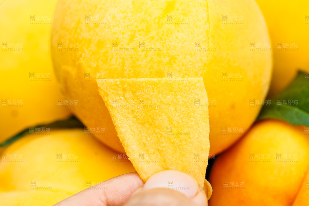 剥皮的了黄肉毛桃