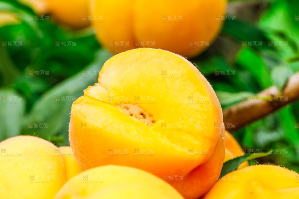 摆放着一堆的黄桃