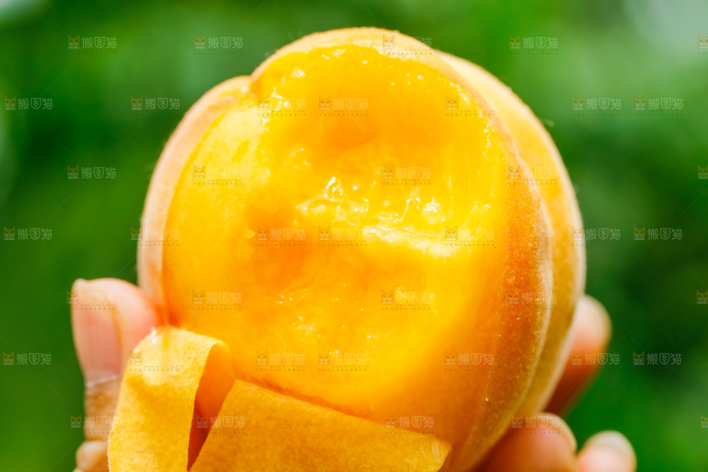 手里拿着黄皮黄桃
