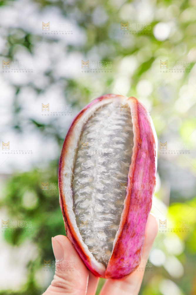 手里拿着新鲜八月瓜