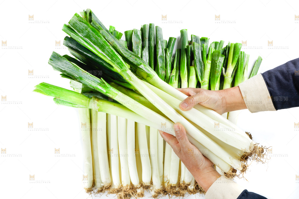 白底上的大葱