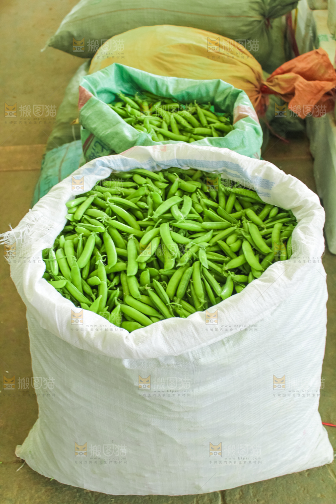 袋子装着豌豆