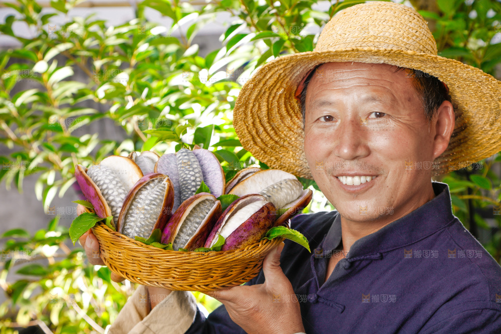 篮子里的八月炸