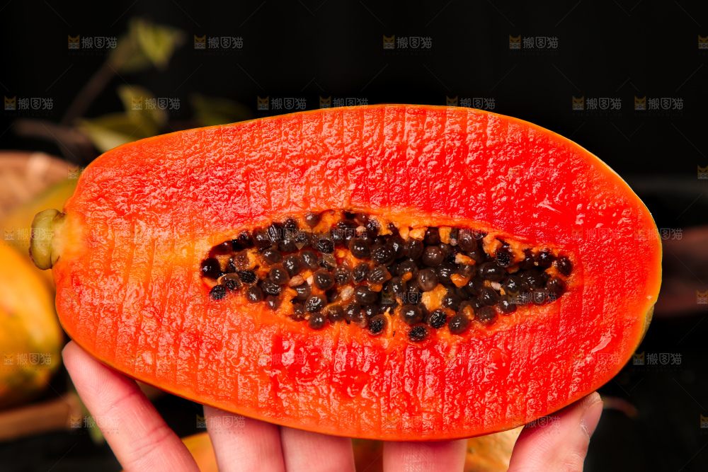 手拿切开的冰糖红心木瓜
