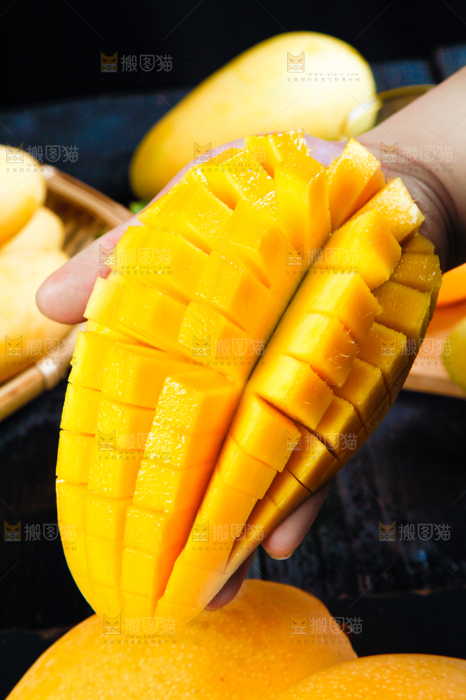 黑底上的水仙芒