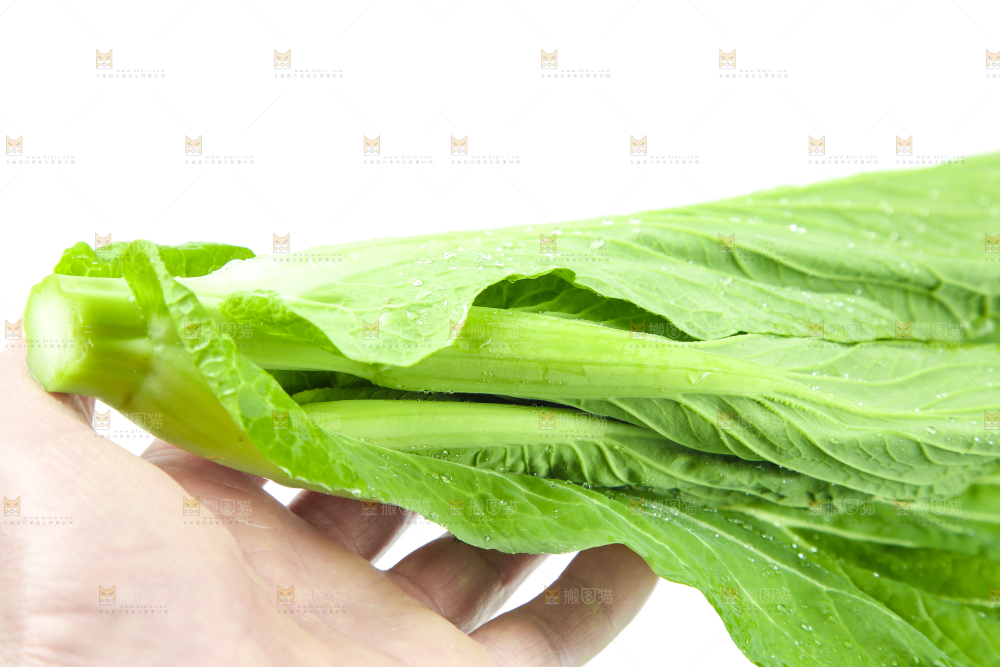 手里拿着新鲜菜心