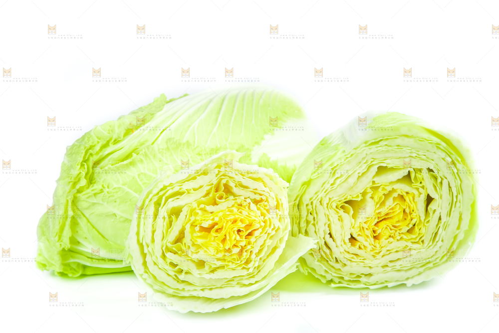 白底上放着大白菜
