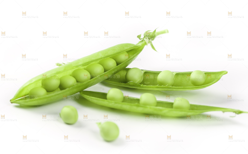 白底上的豌豆荚