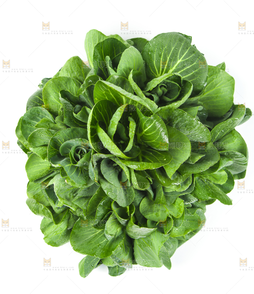 白底上放着青菜