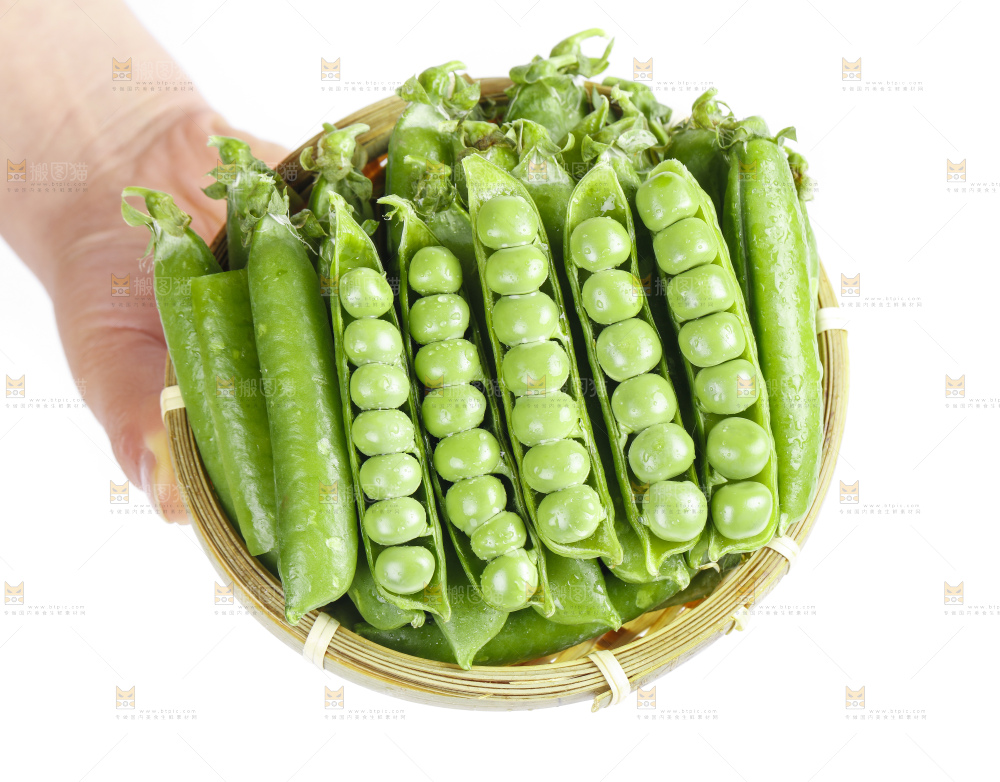 篮子里的新鲜豌豆