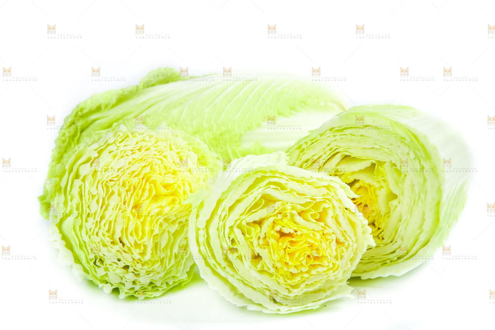 白底上放着大白菜