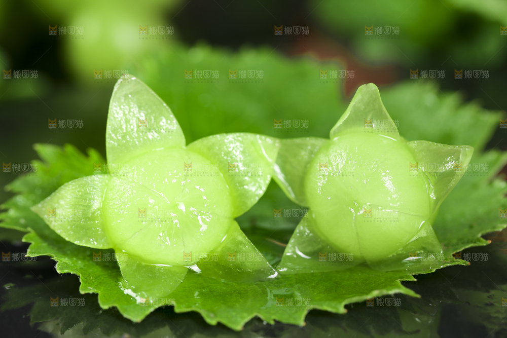 叶子上放着剥皮的的无籽青提
