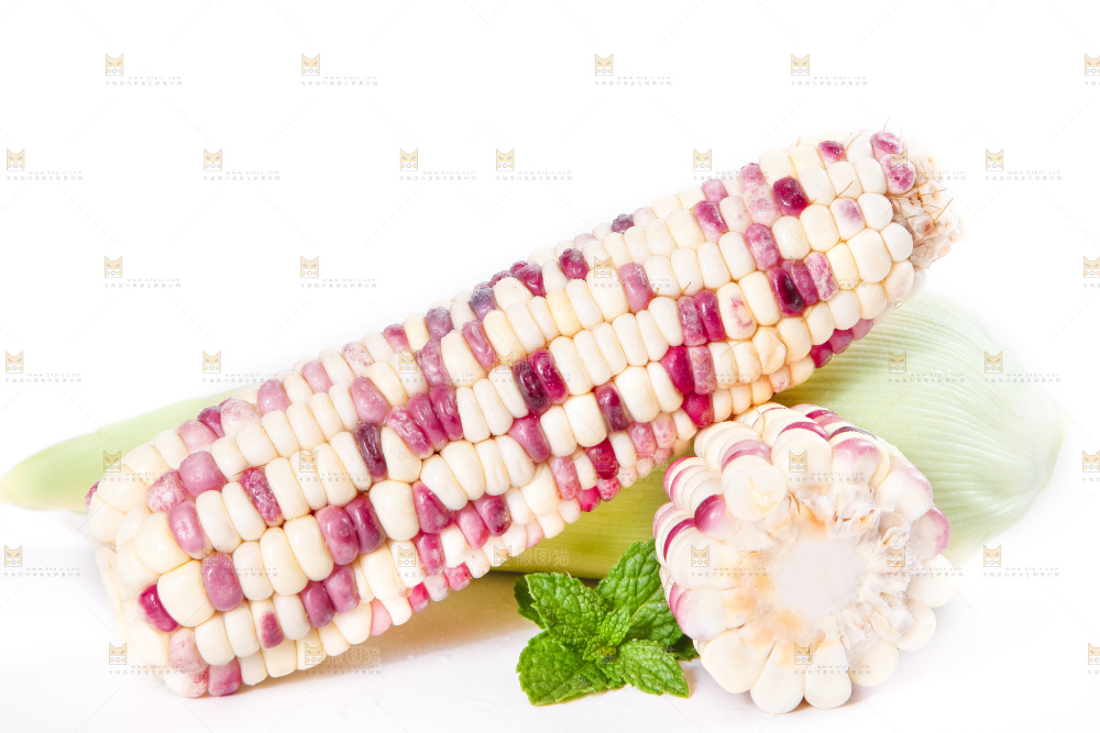 白底上放着剥皮的花玉米