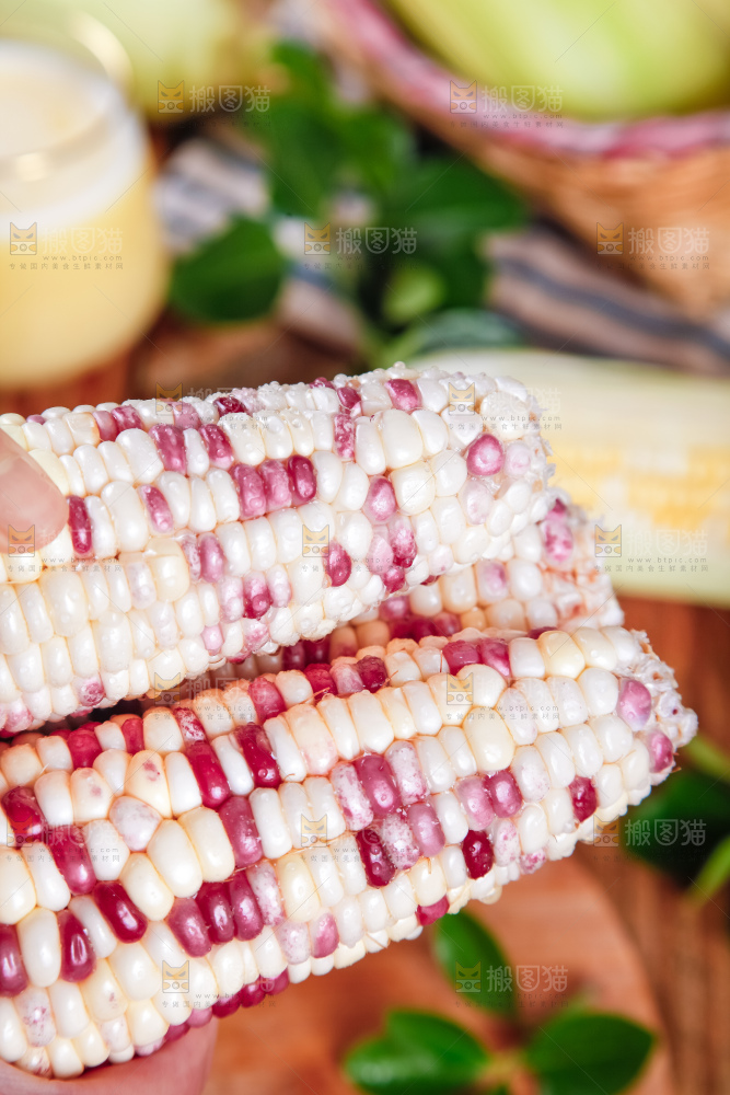 手里拿着剥皮的花玉米