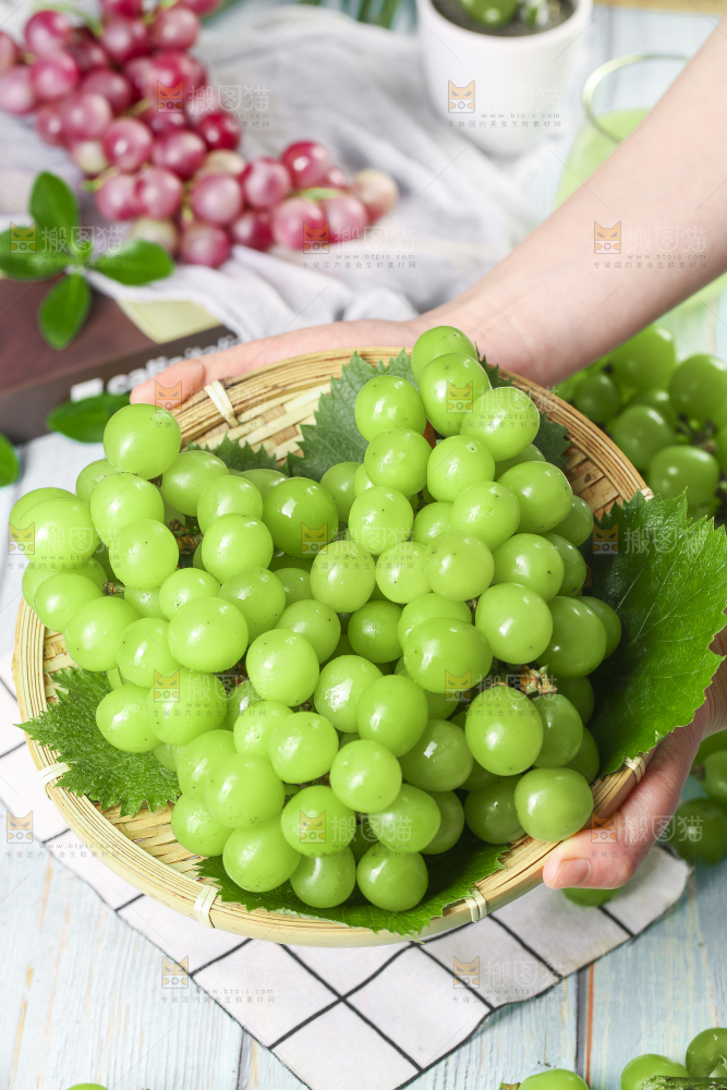 竹篮里放着无籽青提