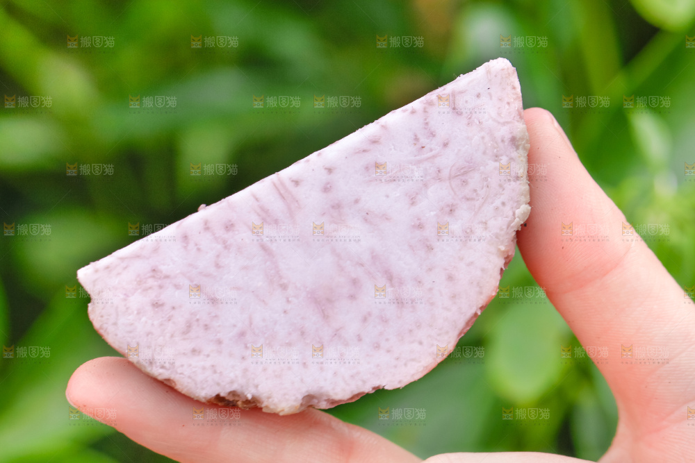 手里拿着紫藤芋头