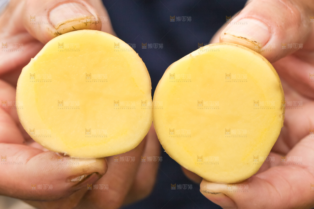手里拿着云南小土豆