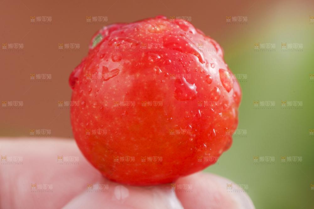 手里拿着黄樱桃