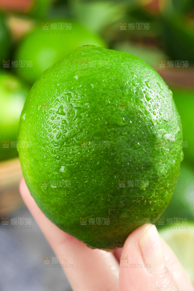 手里拿着薄皮青柠檬