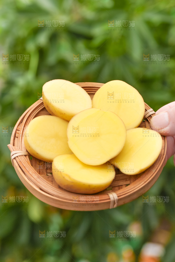竹篮里装着云南小土豆