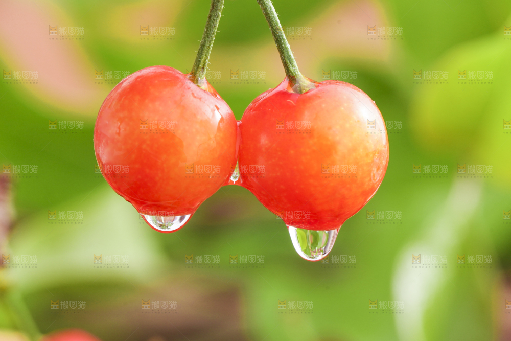 手里拿着水晶樱桃
