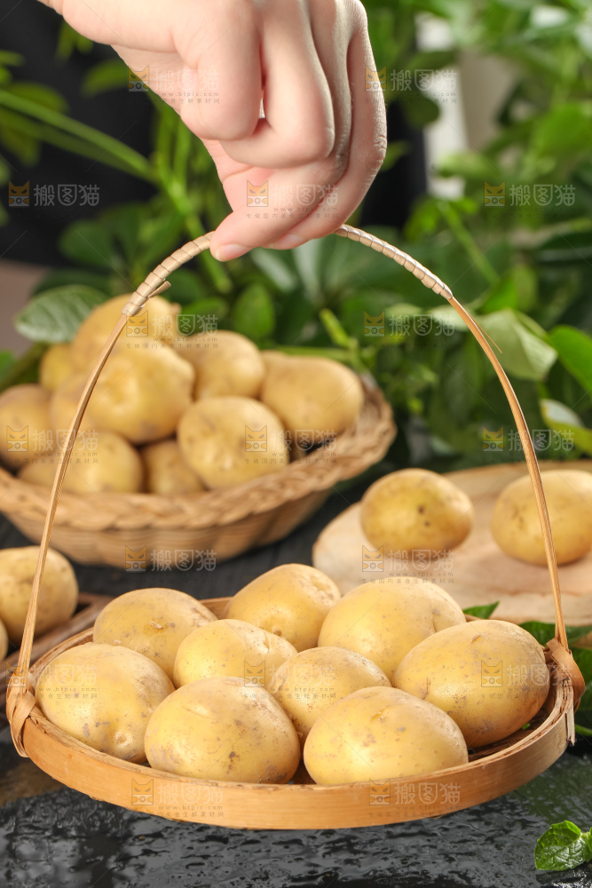 竹篮里装着小土豆