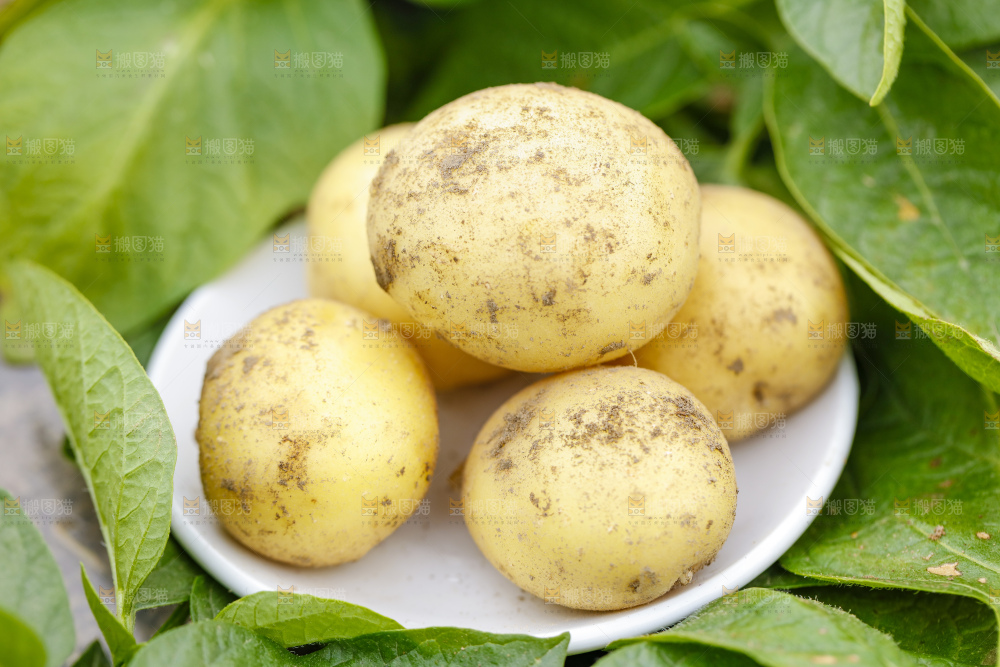 盘子里装着土豆