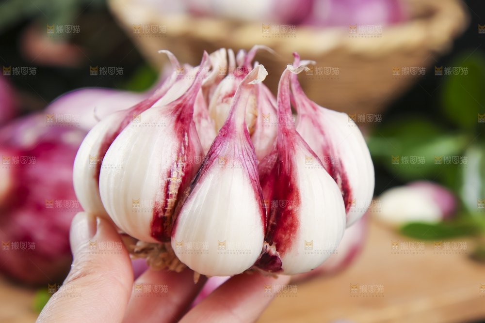 手里拿着云南紫皮蒜