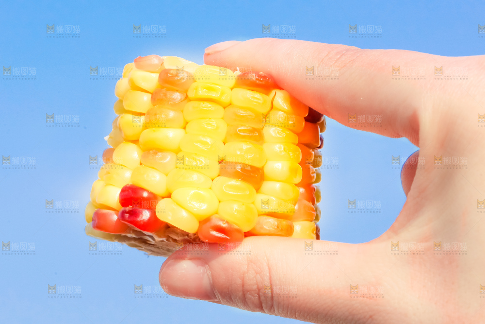手里拿着花糯玉米