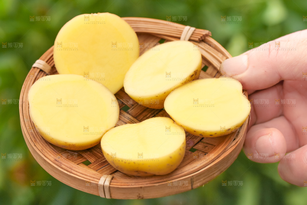 竹篮里装着云南小土豆