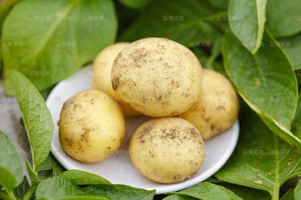 盘子里装着土豆
