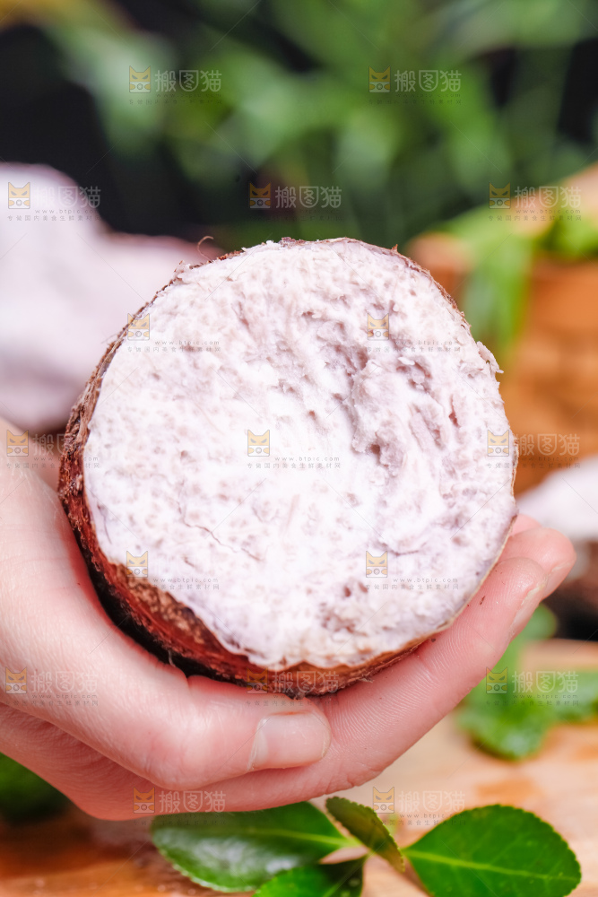 手里拿着大芋头