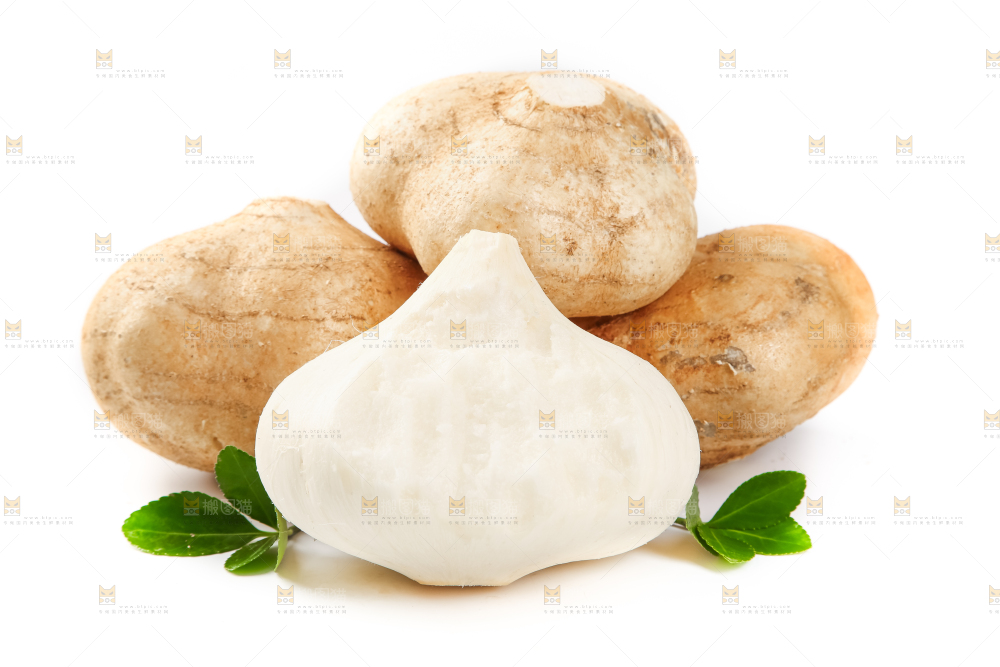 白底上的凉薯