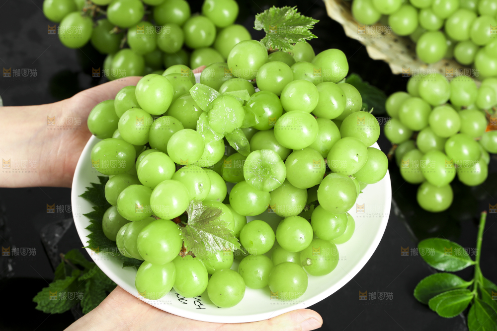 盘子里装着无籽青提