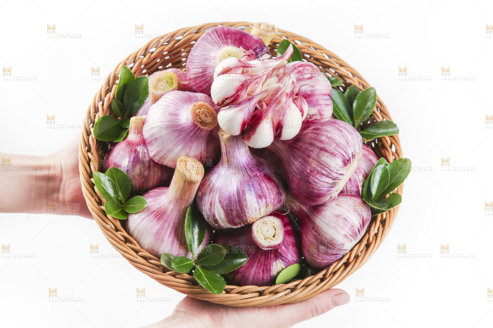 竹篮里面放着紫皮蒜