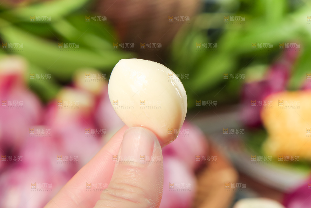 手里拿着紫皮大蒜