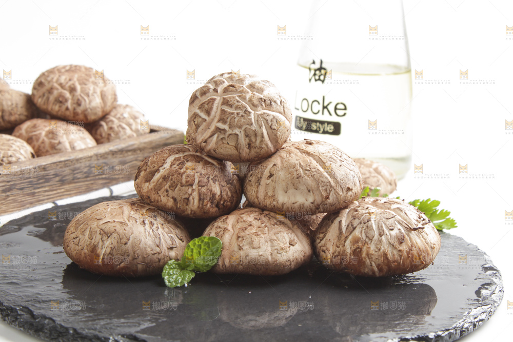 石板上的冬花菇