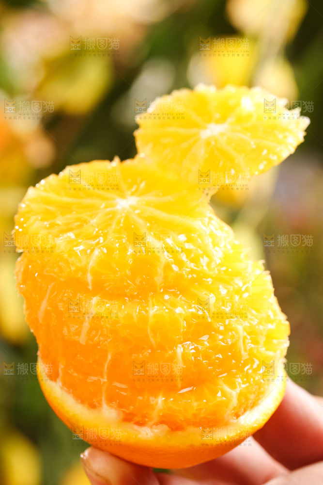 叶子上的新鲜脐橙