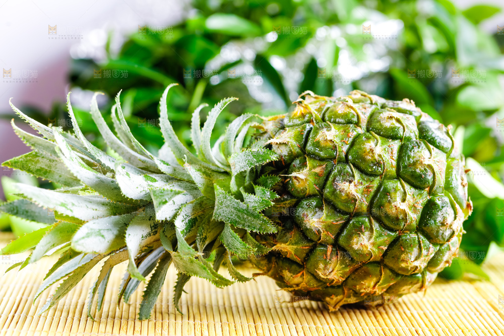云南香水小菠萝放在白底上