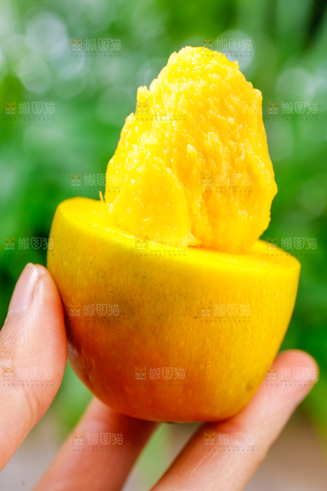 手拿新鲜彩芒