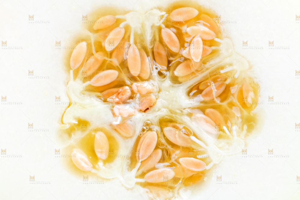 白底上的阎良甜瓜