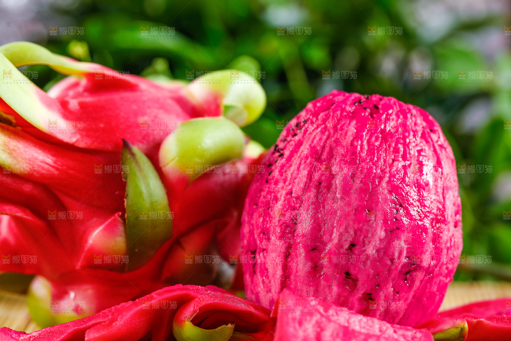 木底上放着海南红心火龙果