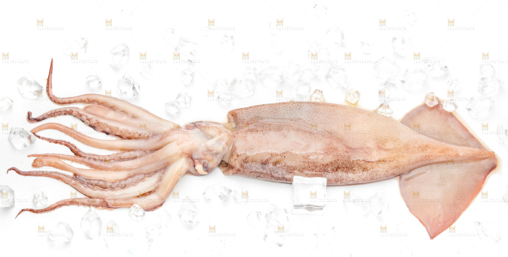 白底上放着鱿鱼